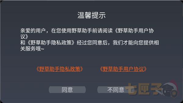 野草助手电视版