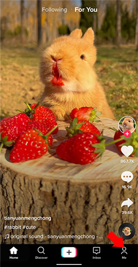 国际版抖音下载安卓官网版