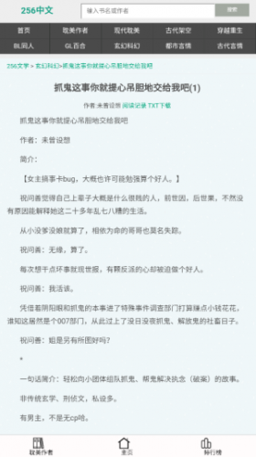256中文小说阅读网